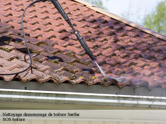 Nettoyage demoussage de toiture 72 Sarthe  SOS toiture