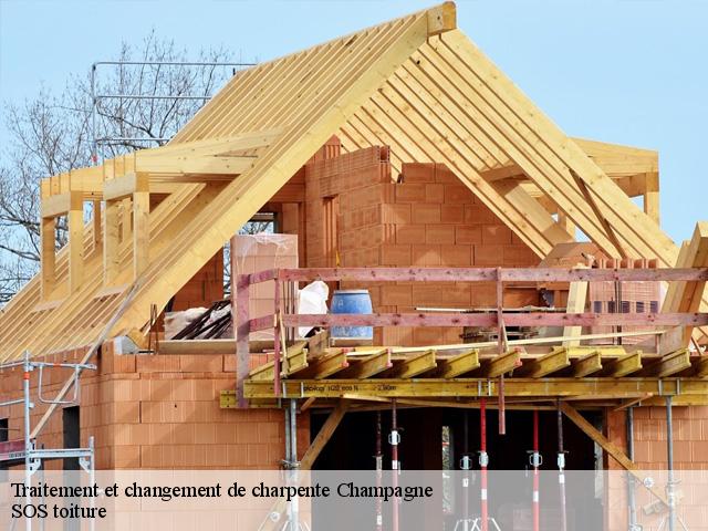 Traitement et changement de charpente  champagne-72470 SOS toiture