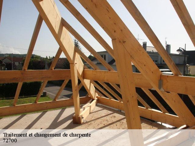 Traitement et changement de charpente 72700