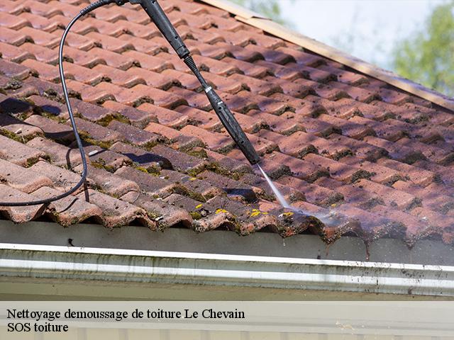 Nettoyage demoussage de toiture  le-chevain-72610 SOS toiture