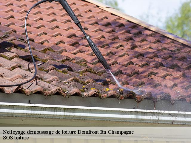 Nettoyage demoussage de toiture domfront-en-champagne-72240 SOS toiture