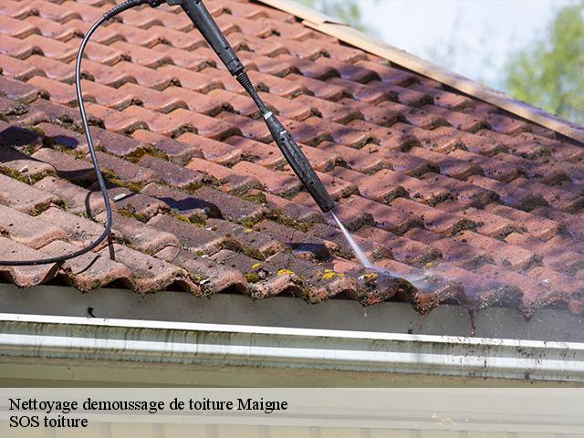 Nettoyage demoussage de toiture  maigne-72210 SOS toiture