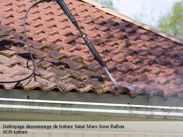 Nettoyage demoussage de toiture saint-mars-sous-ballon-72290 SOS toiture