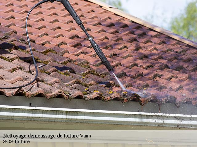 Nettoyage demoussage de toiture  vaas-72500 SOS toiture