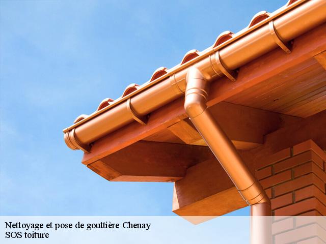 Nettoyage et pose de gouttière  chenay-72610 SOS toiture