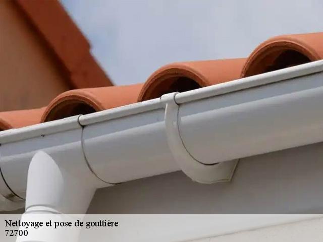 Nettoyage et pose de gouttière 72700