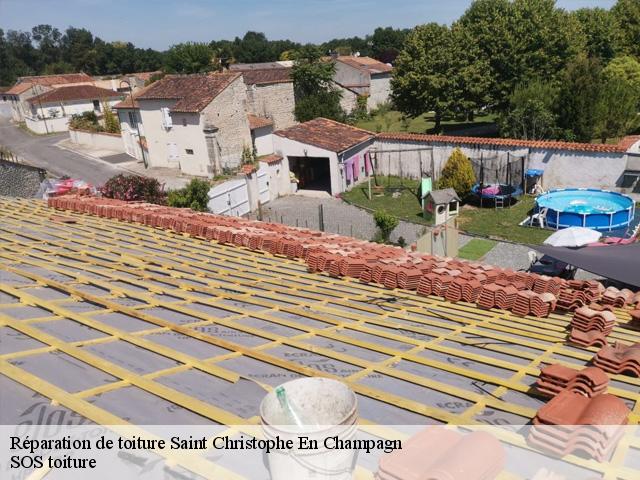 Réparation de toiture saint-christophe-en-champagn-72540 SOS toiture